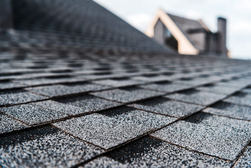 Roof Cleaning for Long-Term Maintenance