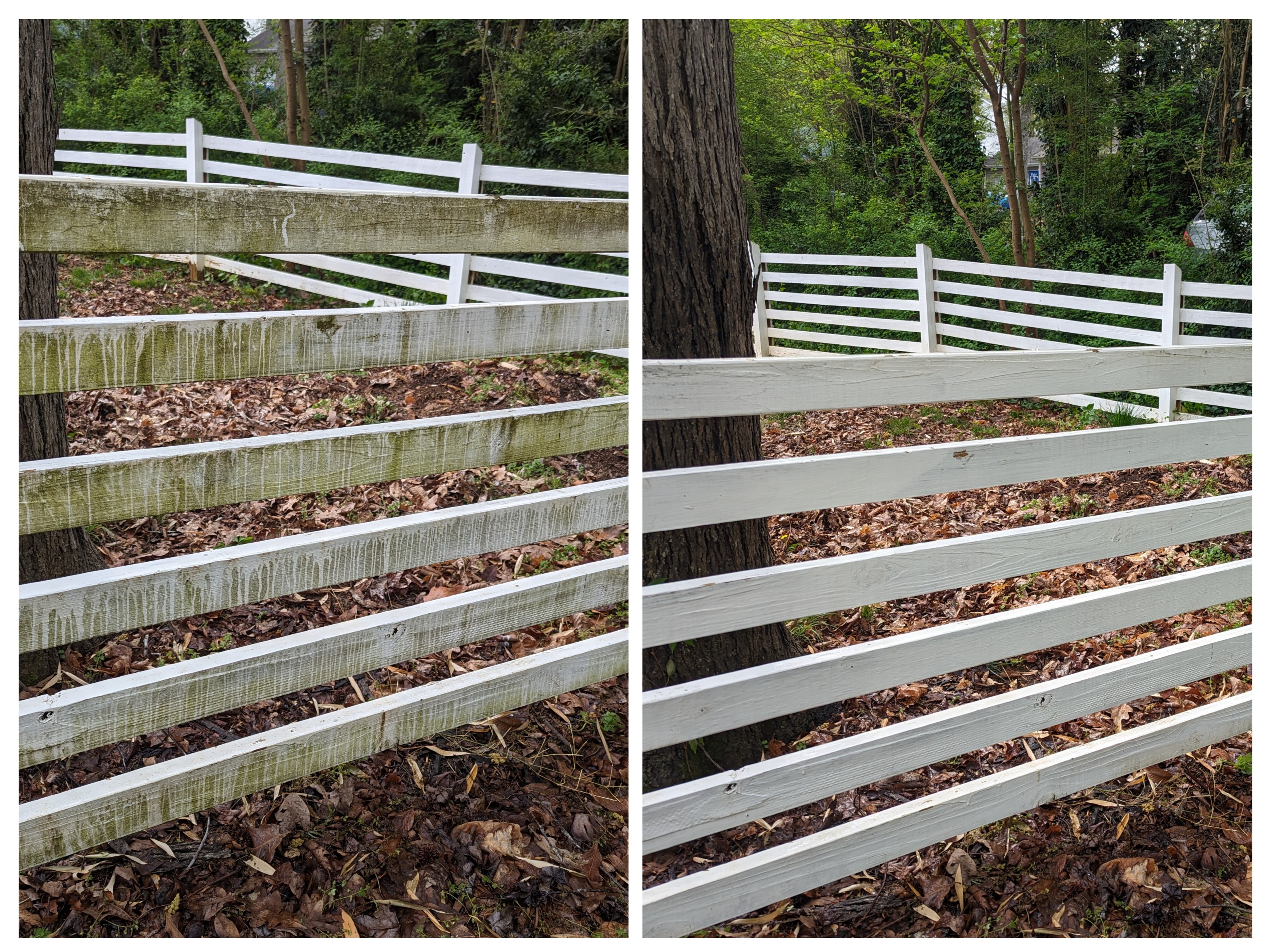Professional Fence Cleaning near Whitsett
