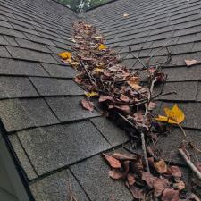 Professional-Roof-Cleaning-in-Efland-NC 2