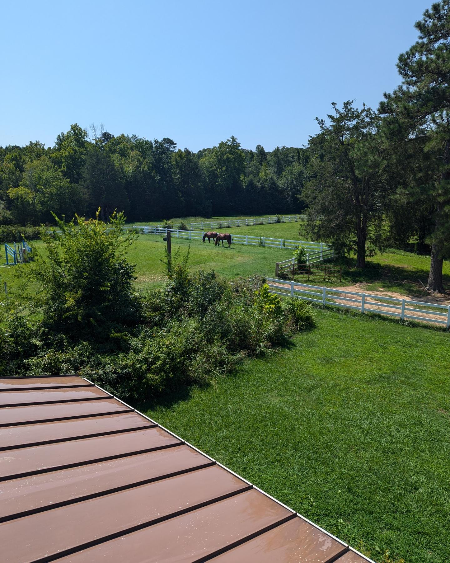 Top Quality Roof and House Softwash in Mebane, NC